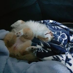 Meet your Posher, Carolyn